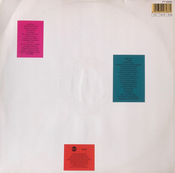 The Blow Monkeys : This Is Your Life (N-Ten City Remix) (12")