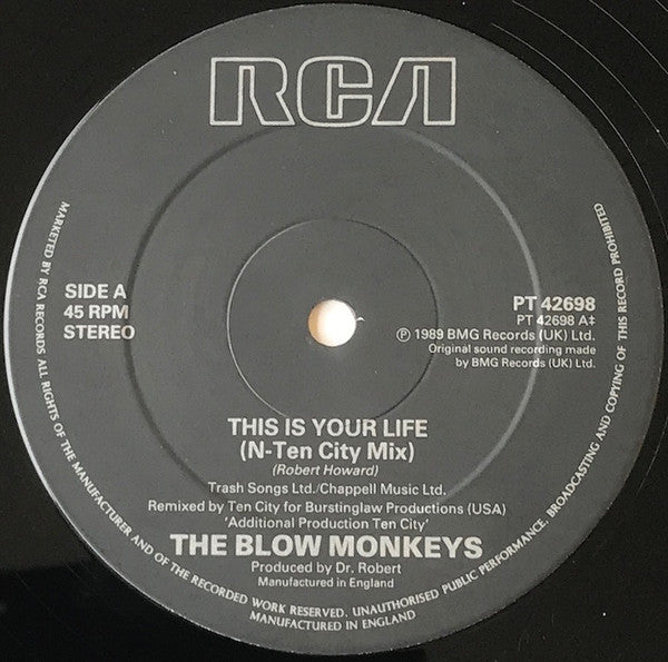 The Blow Monkeys : This Is Your Life (N-Ten City Remix) (12")