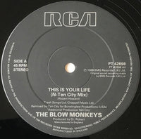The Blow Monkeys : This Is Your Life (N-Ten City Remix) (12")