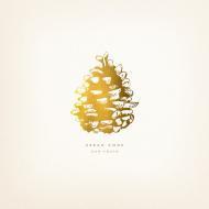 Urban Cone : Our Youth (2xLP)