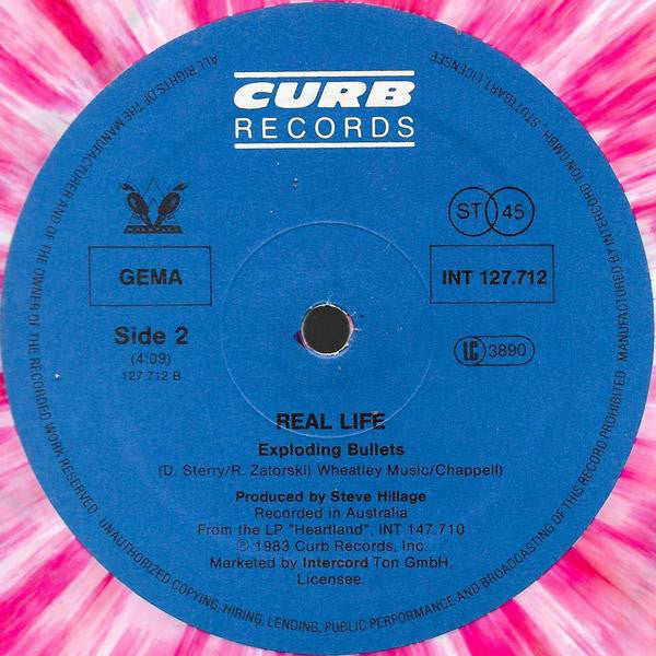 Real Life : Catch Me I'm Falling (12", Single, Pin)