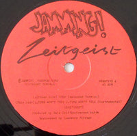 Zeitgeist (2) : Time Won't Tell / Stop (12")