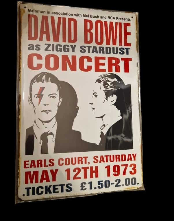 David Bowie as Ziggy Stardust - Concert