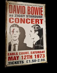 David Bowie as Ziggy Stardust - Concert