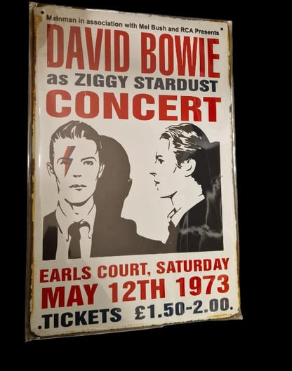 David Bowie as Ziggy Stardust - Concert