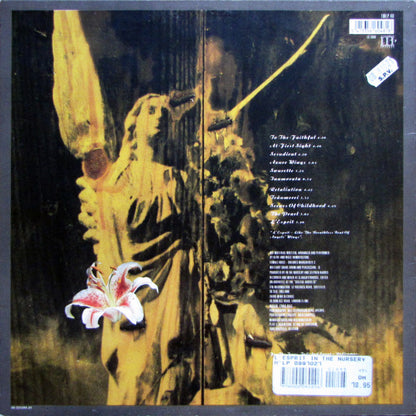 In The Nursery : L'Esprit (LP, Album)