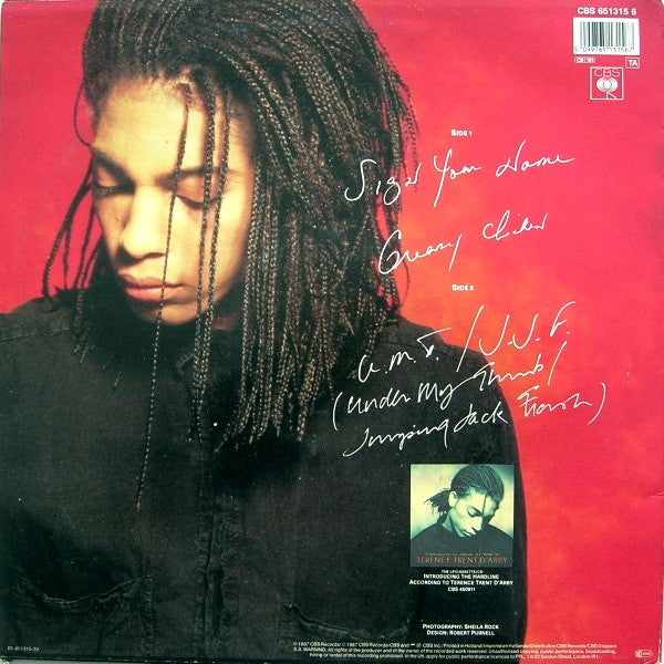 Terence Trent D'Arby : Sign Your Name (12", Single)
