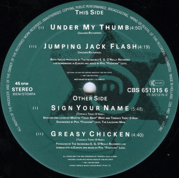 Terence Trent D'Arby : Sign Your Name (12", Single)
