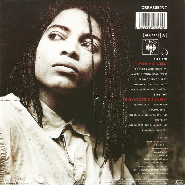 Terence Trent D'Arby : Wishing Well (7", Single)