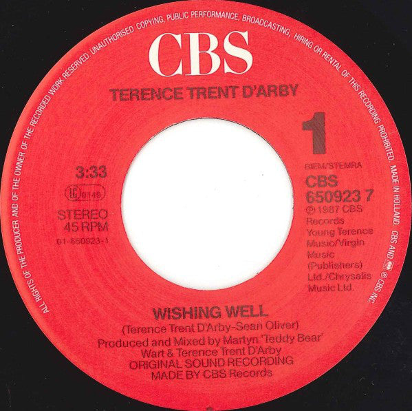 Terence Trent D'Arby : Wishing Well (7", Single)