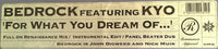Bedrock Featuring KYO : For What You Dream Of... (12")