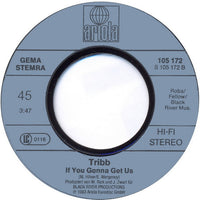 Tribb : Santa Monica (7", Single)