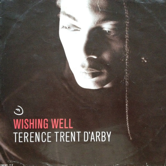 Terence Trent D'Arby : Wishing Well (12", Single)
