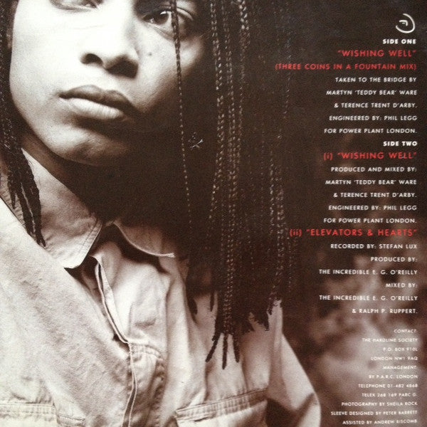 Terence Trent D'Arby : Wishing Well (12", Single)