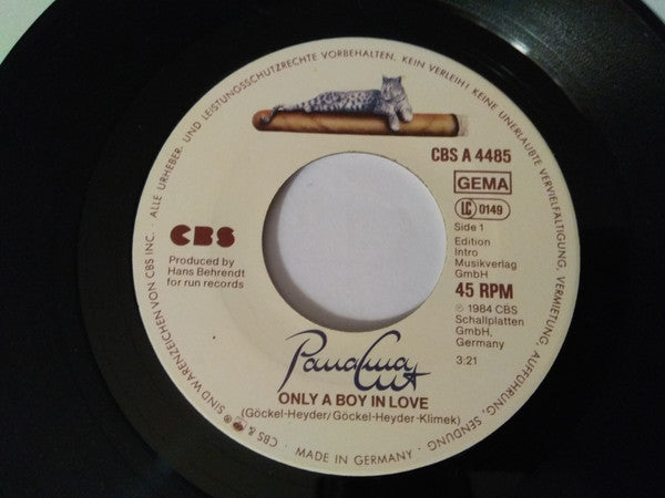 Panama Cut : Only A Boy In Love (7", Single)