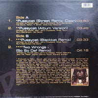 Wyclef Jean Feat Busta Rhymes & Loon : Pussycat (12")