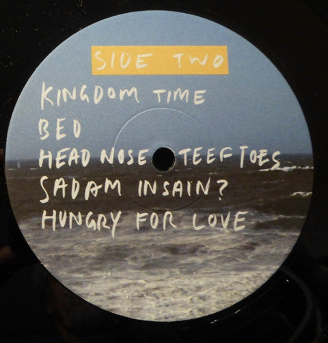 Spin Spin The Dogs : Leave Me In Leicester (LP, Album)