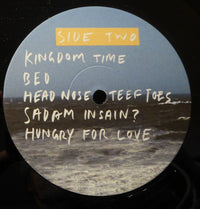 Spin Spin The Dogs : Leave Me In Leicester (LP, Album)