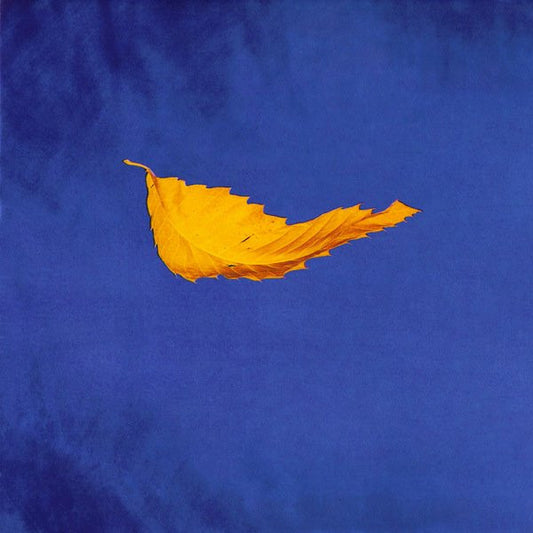 New Order : True Faith / 1963 (7", Single)