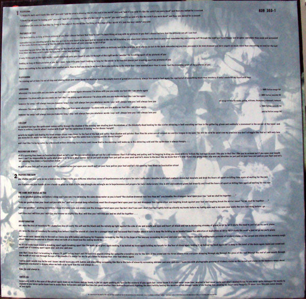 The Cure : Disintegration (LP, Album, Smo)