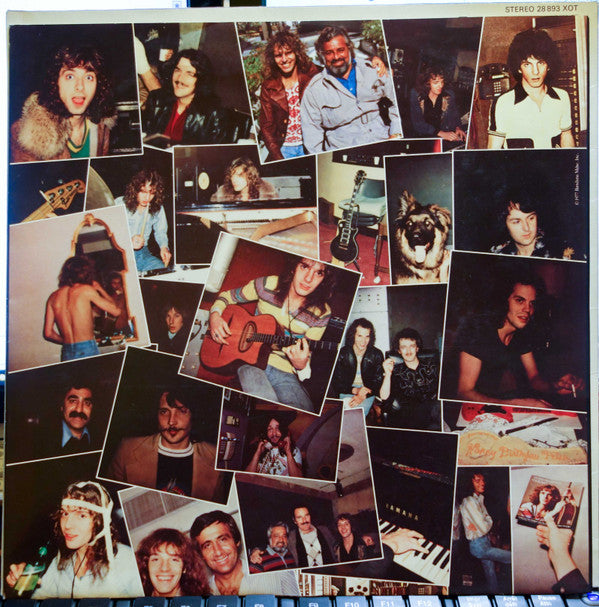 Peter Frampton : I'm In You (LP, Album)