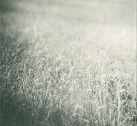 Birdy (8) : Fire Within (LP, Album, Gat)