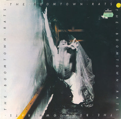 The Boomtown Rats : The Boomtown Rats (LP, Album)