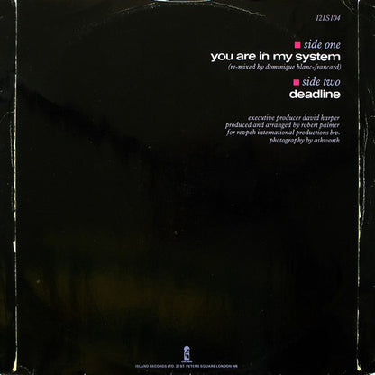 Robert Palmer : You Are In My System (12", Single)