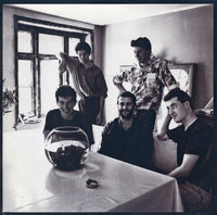 Lloyd Cole And The Commotions* : Rattlesnakes (LP, Album)