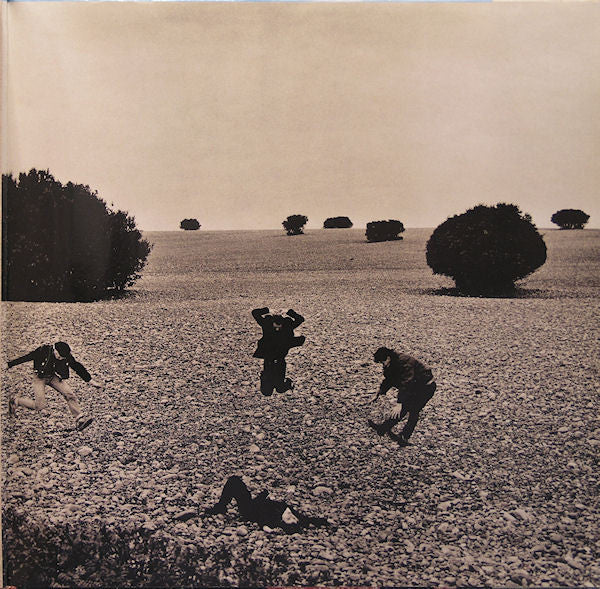 Rainbirds : Call Me Easy Say I'm Strong Love Me My Way It Ain't Wrong (LP, Album)