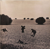 Rainbirds : Call Me Easy Say I'm Strong Love Me My Way It Ain't Wrong (LP, Album)