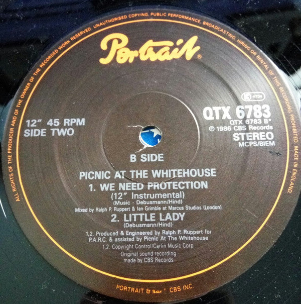 Picnic At The Whitehouse : We Need Protection (Mother Mix) (12")