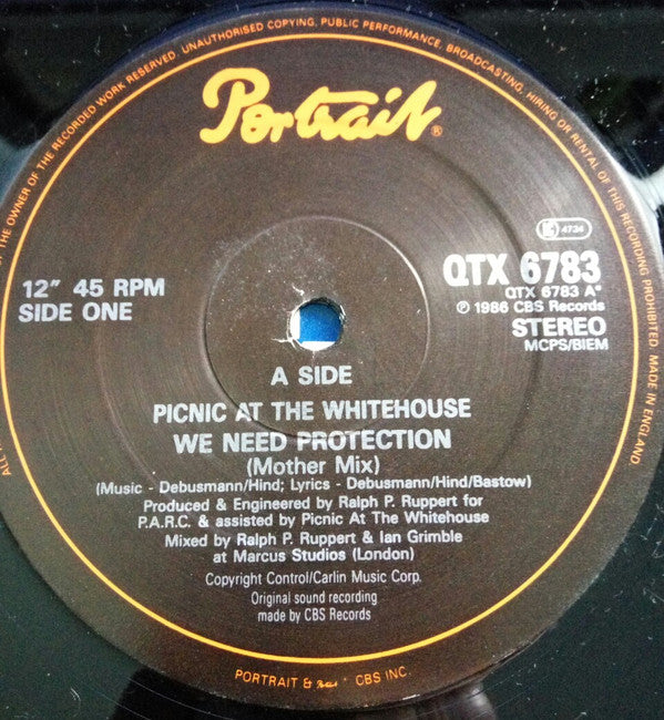 Picnic At The Whitehouse : We Need Protection (Mother Mix) (12")