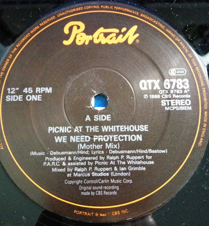 Picnic At The Whitehouse : We Need Protection (Mother Mix) (12")