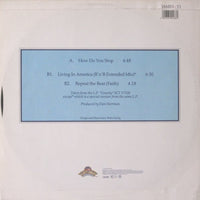 James Brown : How Do You Stop (12")