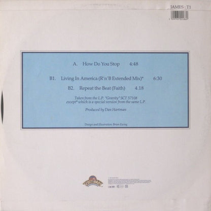 James Brown : How Do You Stop (12")