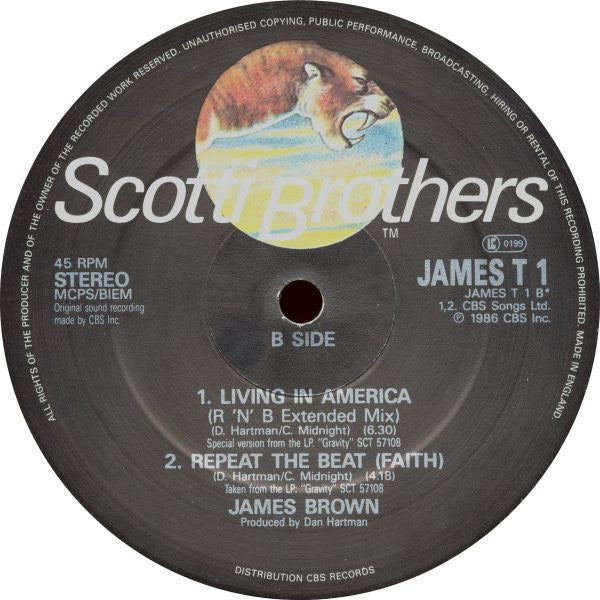 James Brown : How Do You Stop (12")