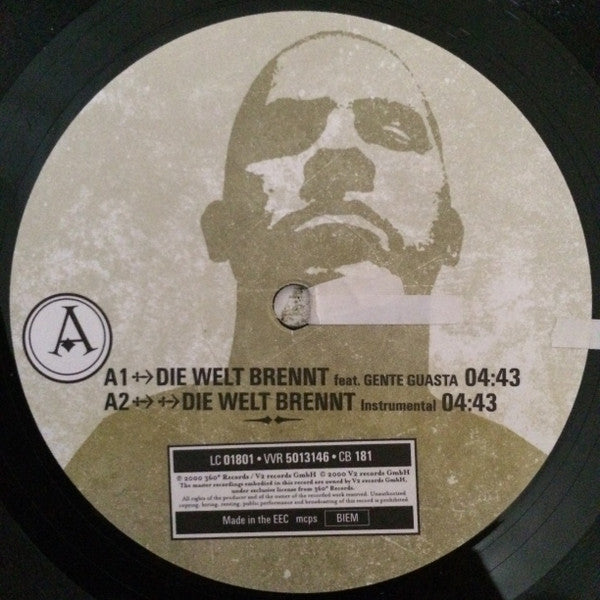 Torch : Die Welt Brennt / Wir Waren Mal Stars (2x12")
