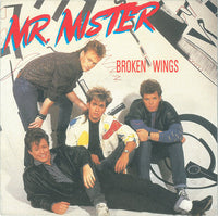 Mr. Mister : Broken Wings (7", Single)