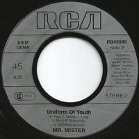 Mr. Mister : Broken Wings (7", Single)