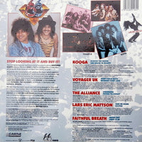 Various : The Vinyl Frontier (LP, Comp)