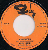 Andy Hann : Without You I'm A Lonely Boy (7", Single)