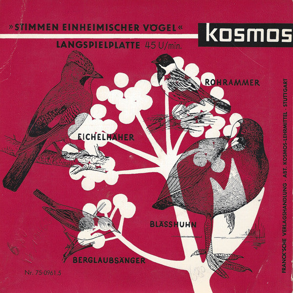 Gerhard Thielcke, Albert Ausobsky : Stimmen Einheimischer Vögel (7")
