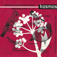 Gerhard Thielcke, Albert Ausobsky : Stimmen Einheimischer Vögel (7")