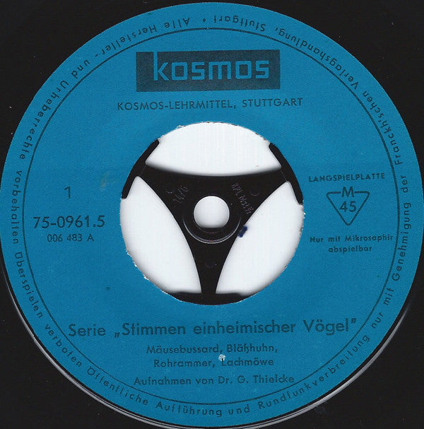 Gerhard Thielcke, Albert Ausobsky : Stimmen Einheimischer Vögel (7")