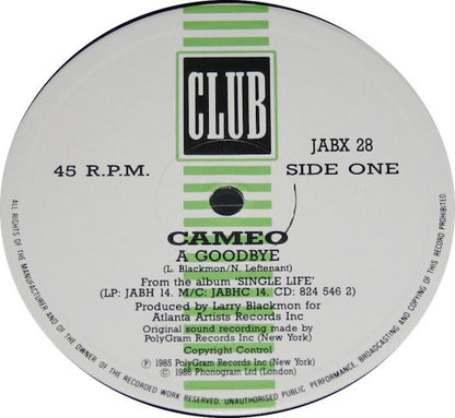 Cameo : A Goodbye (2x12", Gat)