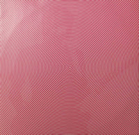 Soulwax : Nite Versions (2x12", Album)