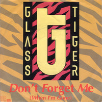 Glass Tiger : Don't Forget Me (When I'm Gone) (7", Single)