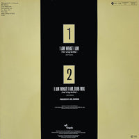 Gloria Gaynor : I Am What I Am (12", Maxi, RE)