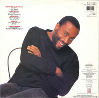 Bobby McFerrin : Simple Pleasures (LP, Album)